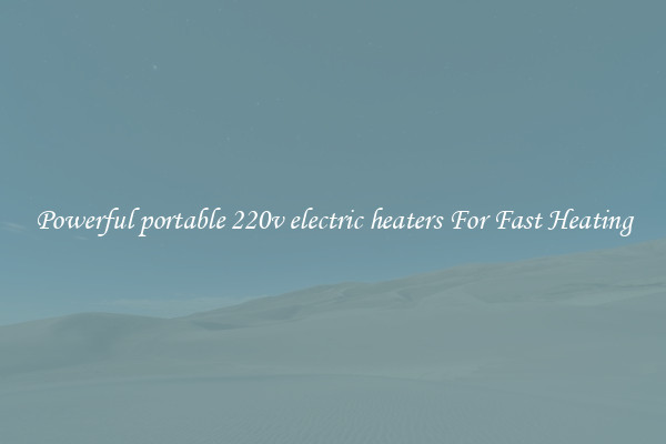Powerful portable 220v electric heaters For Fast Heating