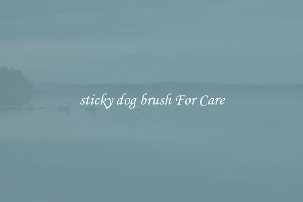 sticky dog brush For Care
