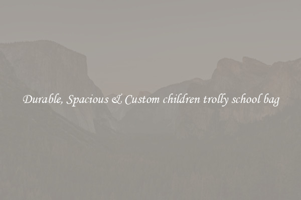 Durable, Spacious & Custom children trolly school bag