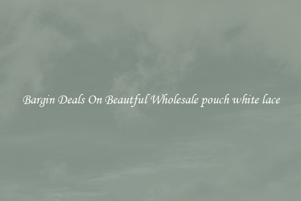 Bargin Deals On Beautful Wholesale pouch white lace