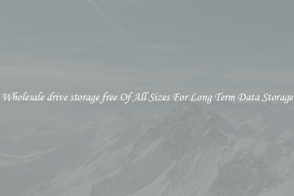 Wholesale drive storage free Of All Sizes For Long Term Data Storage