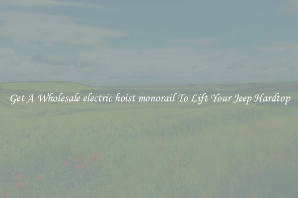 Get A Wholesale electric hoist monorail To Lift Your Jeep Hardtop
