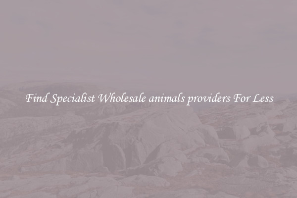  Find Specialist Wholesale animals providers For Less 