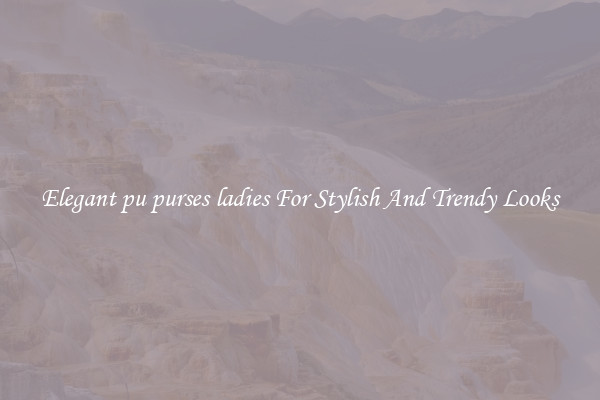 Elegant pu purses ladies For Stylish And Trendy Looks