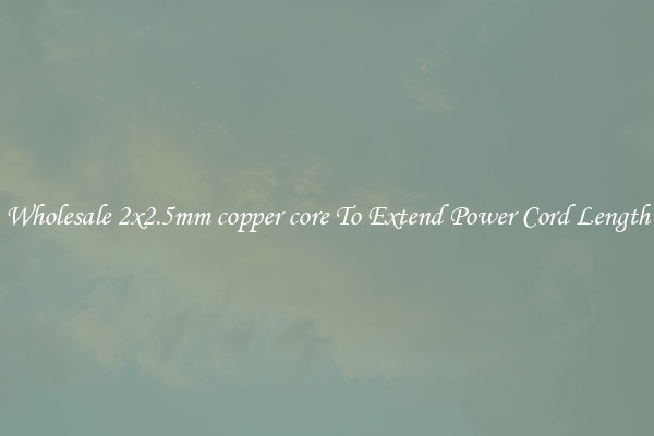Wholesale 2x2.5mm copper core To Extend Power Cord Length