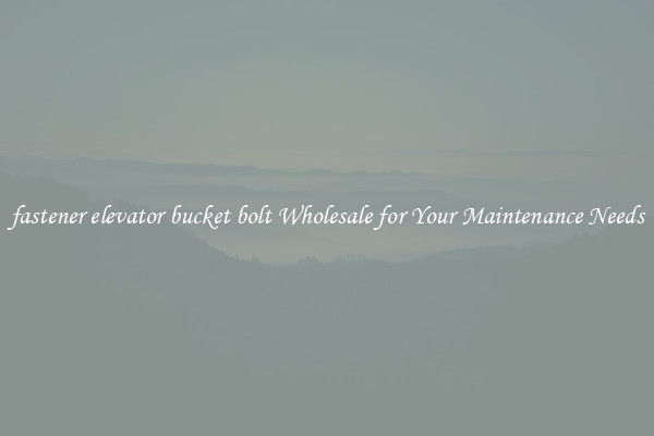 fastener elevator bucket bolt Wholesale for Your Maintenance Needs