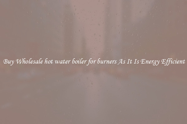 Buy Wholesale hot water boiler for burners As It Is Energy Efficient