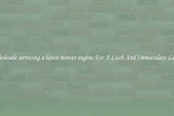 Wholesale servicing a lawn mower engine For A Lush And Immaculate Lawn
