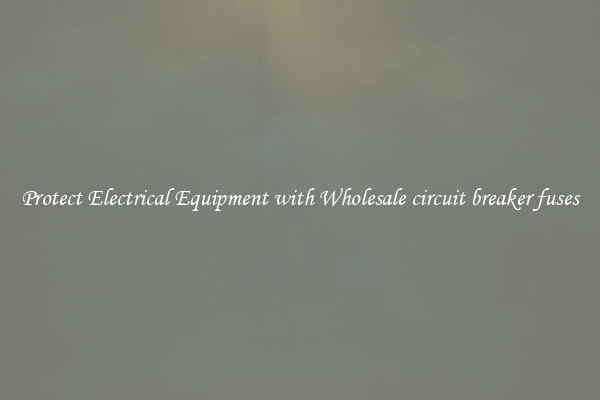 Protect Electrical Equipment with Wholesale circuit breaker fuses