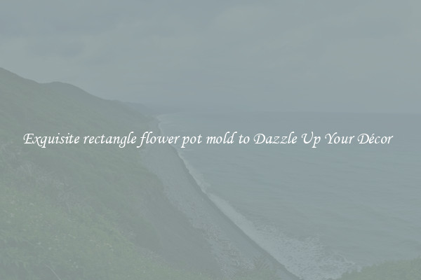 Exquisite rectangle flower pot mold to Dazzle Up Your Décor  