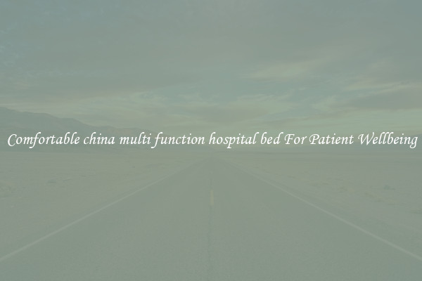 Comfortable china multi function hospital bed For Patient Wellbeing