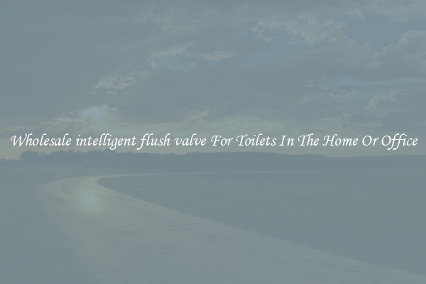 Wholesale intelligent flush valve For Toilets In The Home Or Office