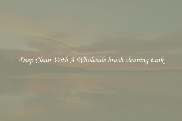 Deep Clean With A Wholesale brush cleaning tank