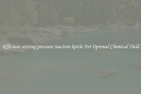Efficient stirring pressure reaction kettle For Optimal Chemical Yield