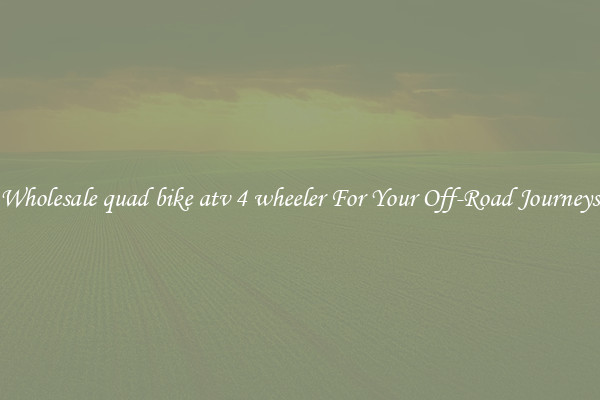 Wholesale quad bike atv 4 wheeler For Your Off-Road Journeys
