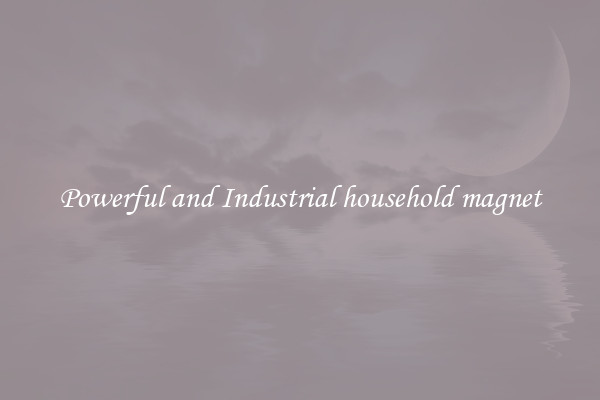 Powerful and Industrial household magnet