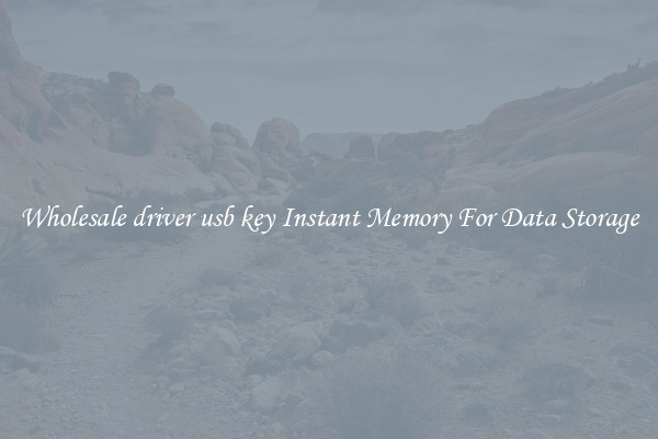 Wholesale driver usb key Instant Memory For Data Storage