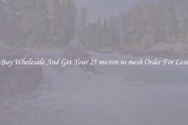 Buy Wholesale And Get Your 25 micron to mesh Order For Less