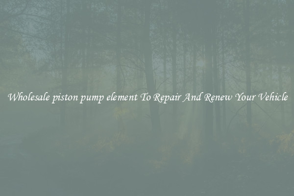 Wholesale piston pump element To Repair And Renew Your Vehicle
