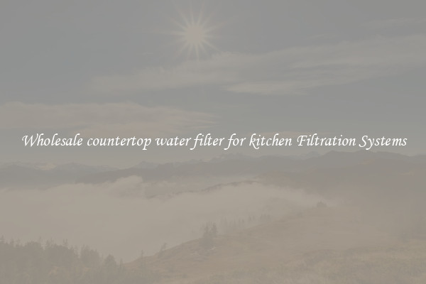 Wholesale countertop water filter for kitchen Filtration Systems