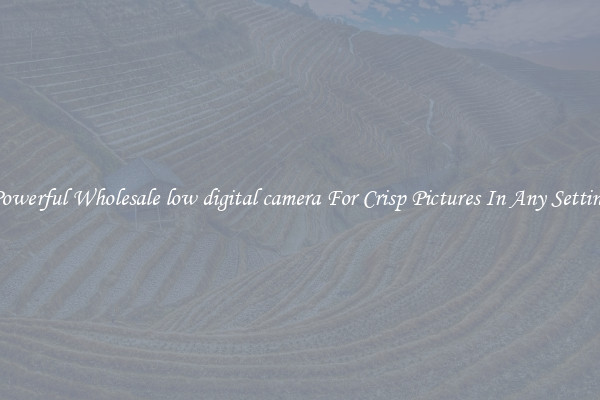 Powerful Wholesale low digital camera For Crisp Pictures In Any Setting