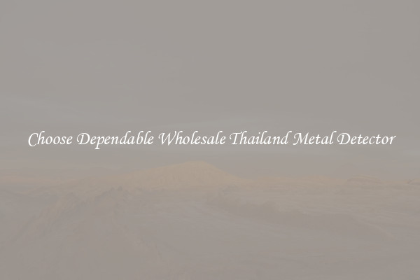 Choose Dependable Wholesale Thailand Metal Detector