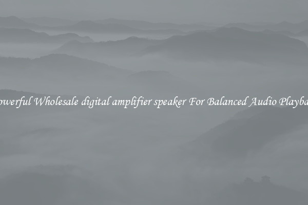 Powerful Wholesale digital amplifier speaker For Balanced Audio Playback