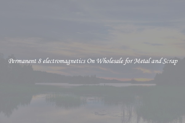 Permanent 8 electromagnetics On Wholesale for Metal and Scrap