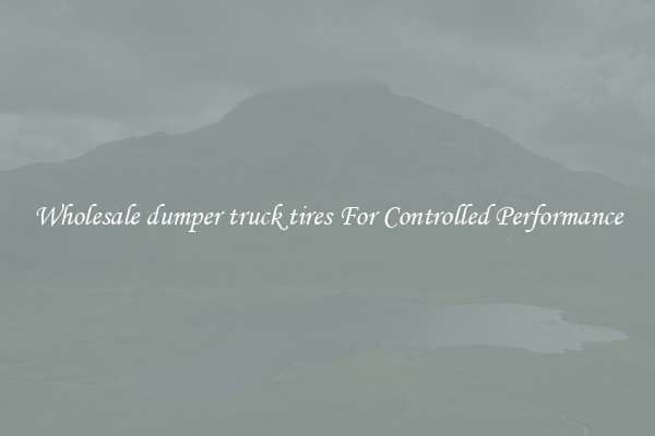 Wholesale dumper truck tires For Controlled Performance